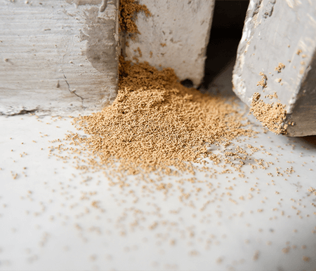 Skyway Pest Management | Carpenter Ants Frass